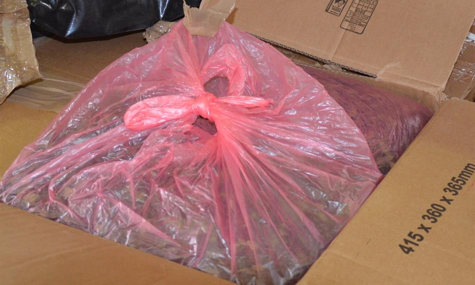 2019-1-21-739foto 1.jpg